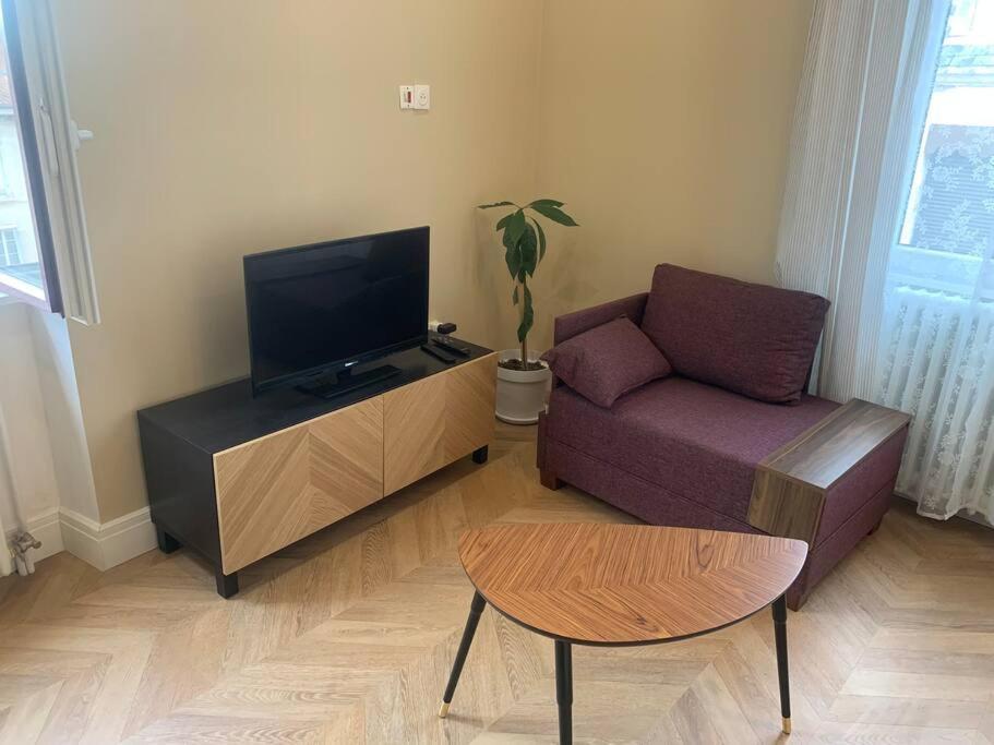 Appartement Centre Ville Historique - Le Modene Виен Екстериор снимка